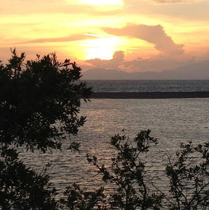 Meet your Posher, Lynnley